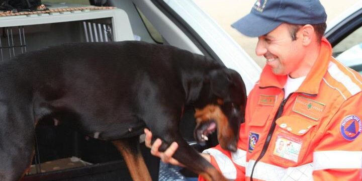 403492_384573374917434_1071331403_n