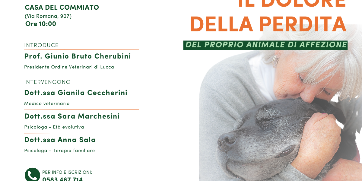 Immagine evidenza sito